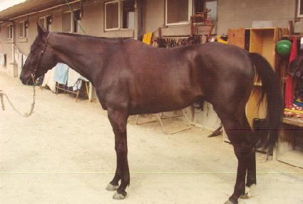 �������� ����