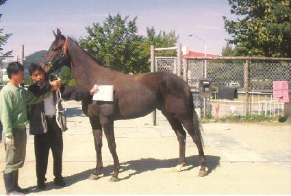 ����Ĺ ����