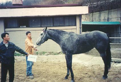 �ܿ¹��� ����