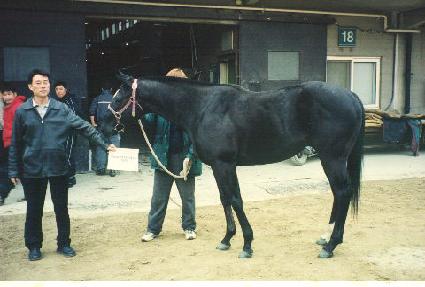 ���������ھ ����