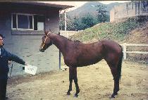 ������������� (YOUR PRIZE ANYTIME) ����