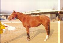 ���긮�޸��� (LOVELY MEMORIES) ����