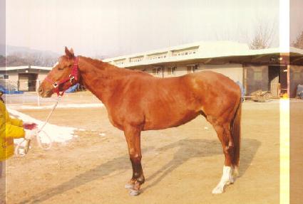 ���긮�޸��� ����