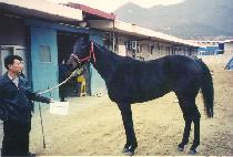 ȣ�κ����� (HOH INVESTOR) ����