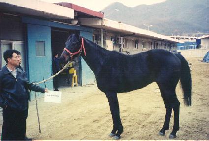 ȣ�κ����� ����