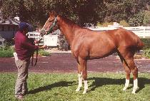 ����÷��� (VALUE PLAY) ����