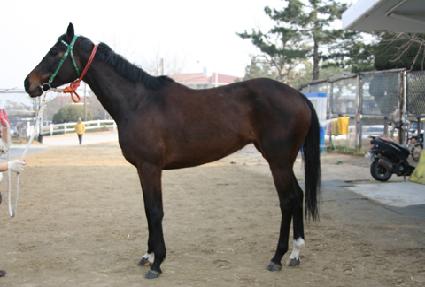 ���������ũ���� ����