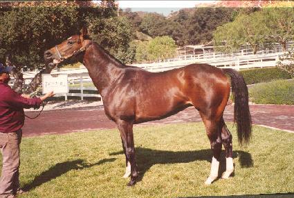 ������������ ����