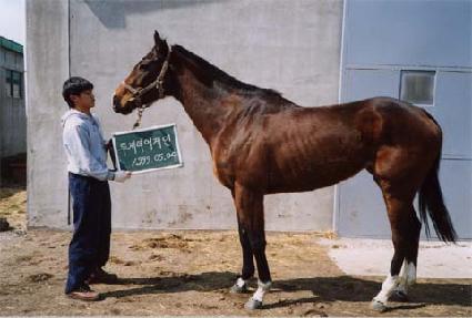 ���Դ������ ����