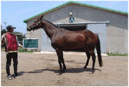 ���̺������� ����