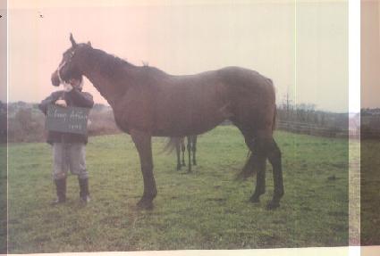 Ŭ���þ���� ����