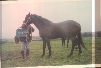 ���ö��̰� ����