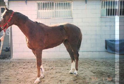 ���׷���Ʈ�� ����