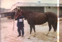 ����Ʋ���� (SOME LITTLE DEVIL) ����