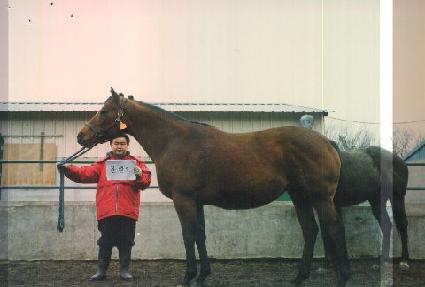 ��ÿ�� ����