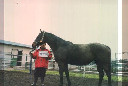 �øḮ�øḮ ����