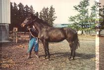 CONNIE'S FIRST TRY picture