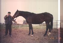 �ι����̼ǿ¸� (INVITATION ONLY) ����