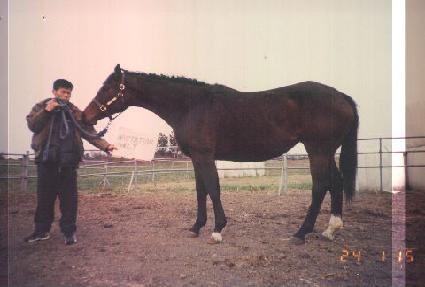 �ι����̼ǿ¸� ����