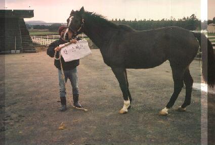 �������� ����