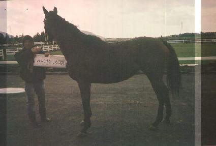 ���÷�����Ÿ�� ����