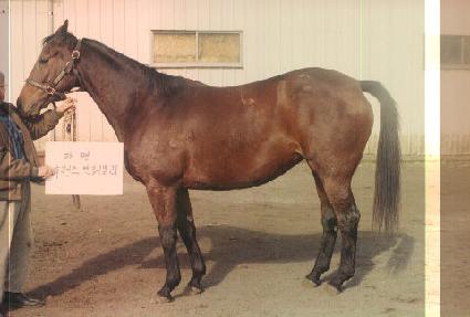 ������йи� ����