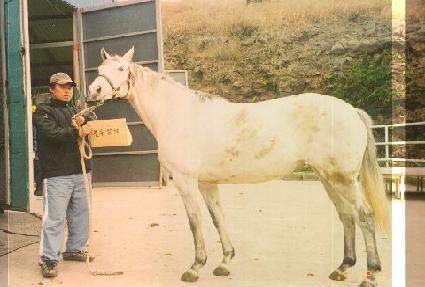 ����߷� ����