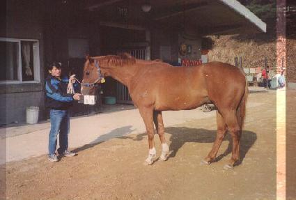 �÷��÷��� ����