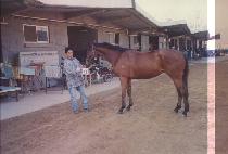 ��彺�� (GOLD STORM) ����