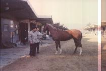 ���屺 (SINJANGGUN) ����