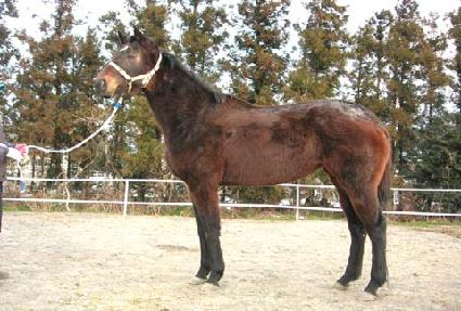 ������ ����