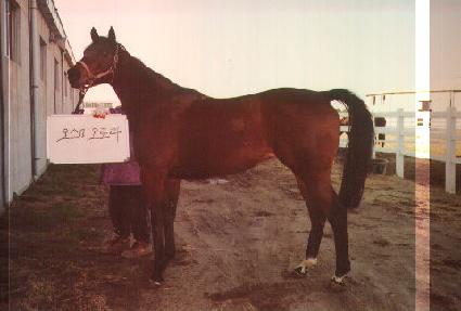 �����̿��ζ� ����