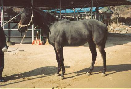 ���� ����