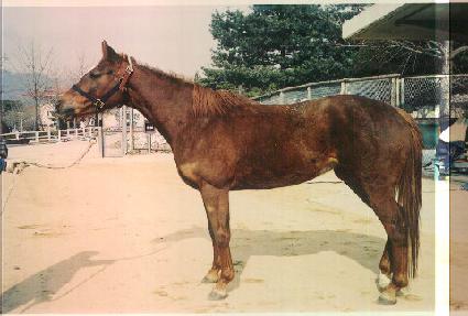 �Ƹ���è�Ǿ� ����