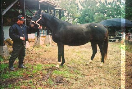 ���ٷι� ����