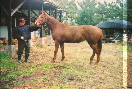 �ͷ����� ����