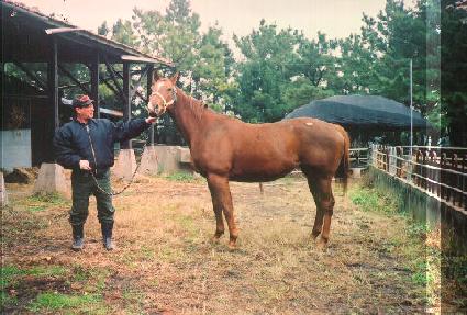 ī����Ƽ���� ����