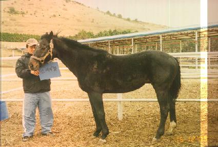 �������� ����