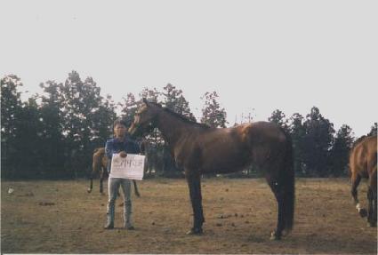 ��Ű�ϵ��� ����