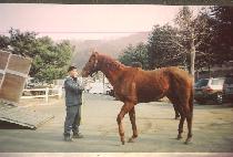 ����ƾ�̹����׼� (MT. IMAGINATION) ����