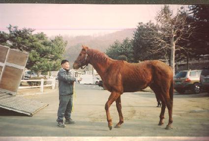 ����ƾ�̹����׼� ����