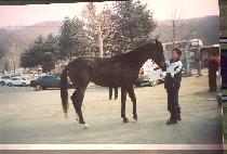 �����Ʋ�� (BENNY��S LITTLE DIP) ����