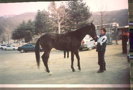 �����Ʋ�� ����