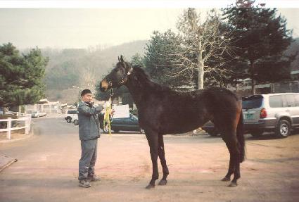 ���ɽý��� ����