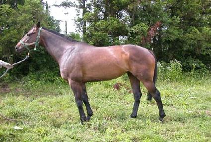 ���þ��ǹ� ����