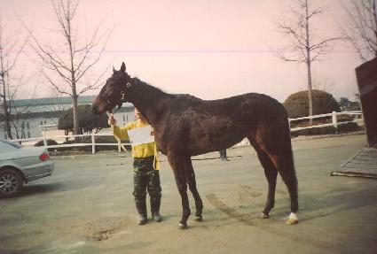 �������� ����