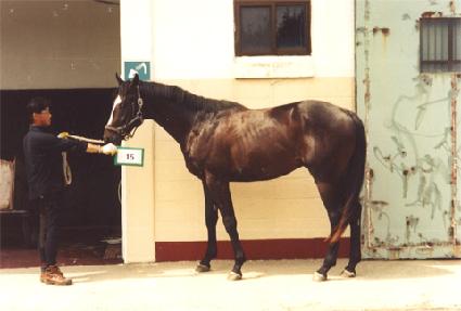 �ͺ�ī ����