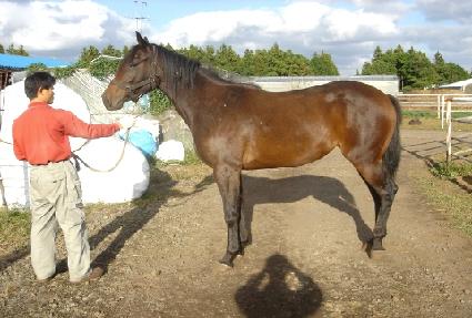 ���������� ����