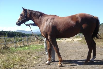 �����ְ� ����