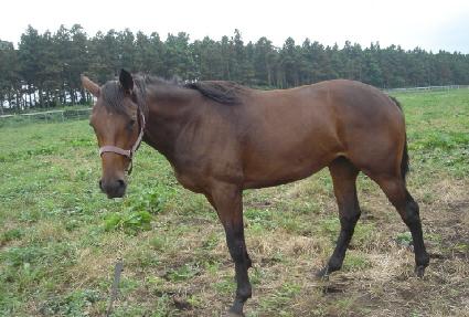 õ�ڻ� ����